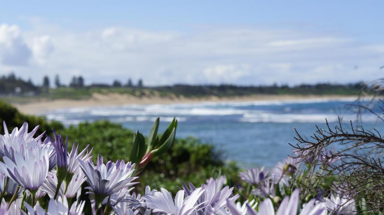Blue Lagoon Beach Resort Bateau Bay Exterior foto